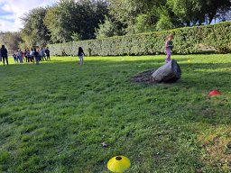 img-20230913-wa0128
