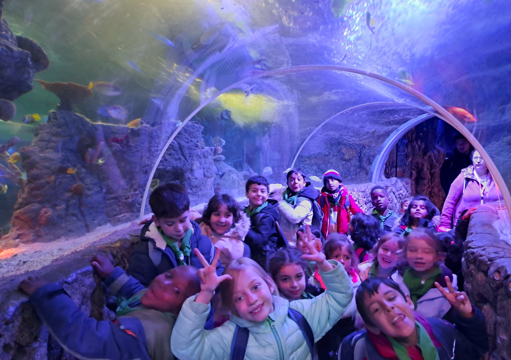 10a99d8f-1020-4fc6-bb24-a3ff61ee3ac8-1_all_570