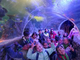 10a99d8f-1020-4fc6-bb24-a3ff61ee3ac8-1_all_570