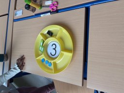 P1B - Le 1er mois des Ouistitis