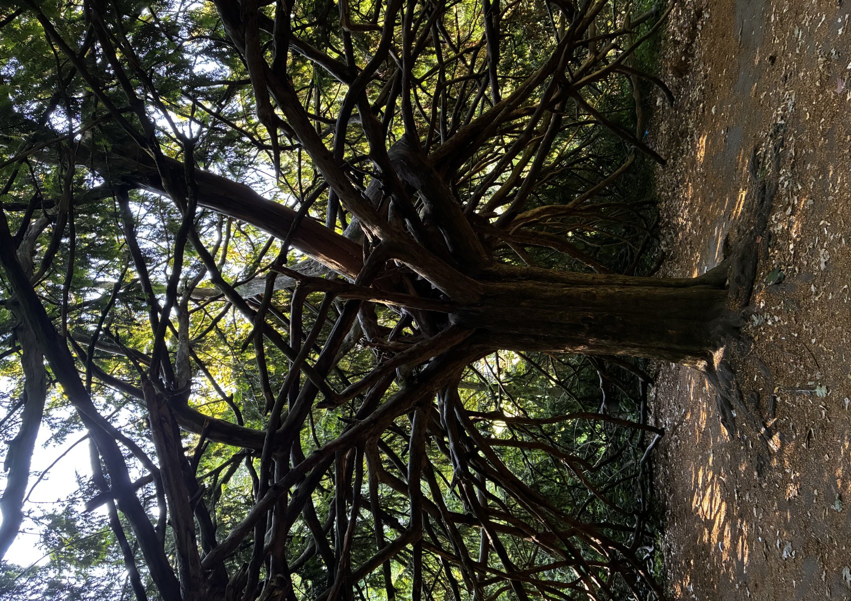 image00007