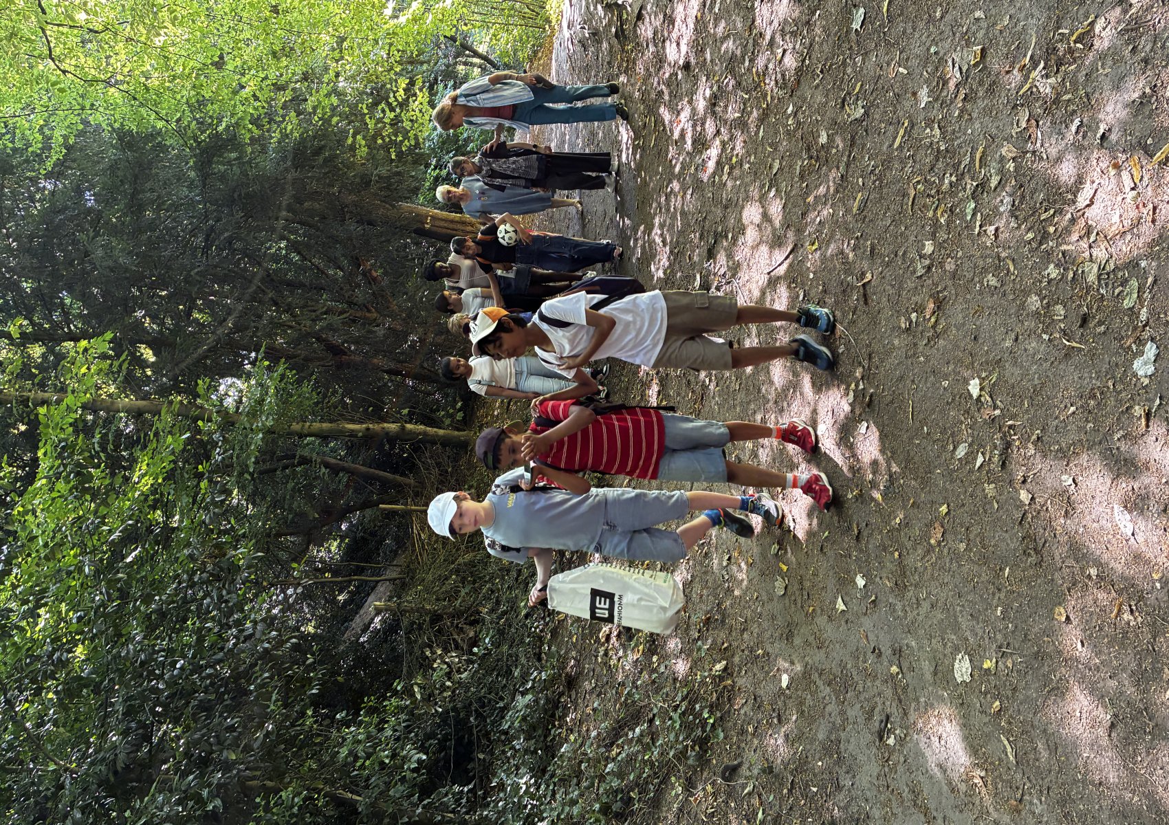 image00012