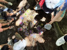 P5 - Bienvenue au parc