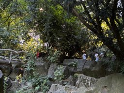 image00019