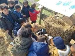 Journée à la ferme des M1