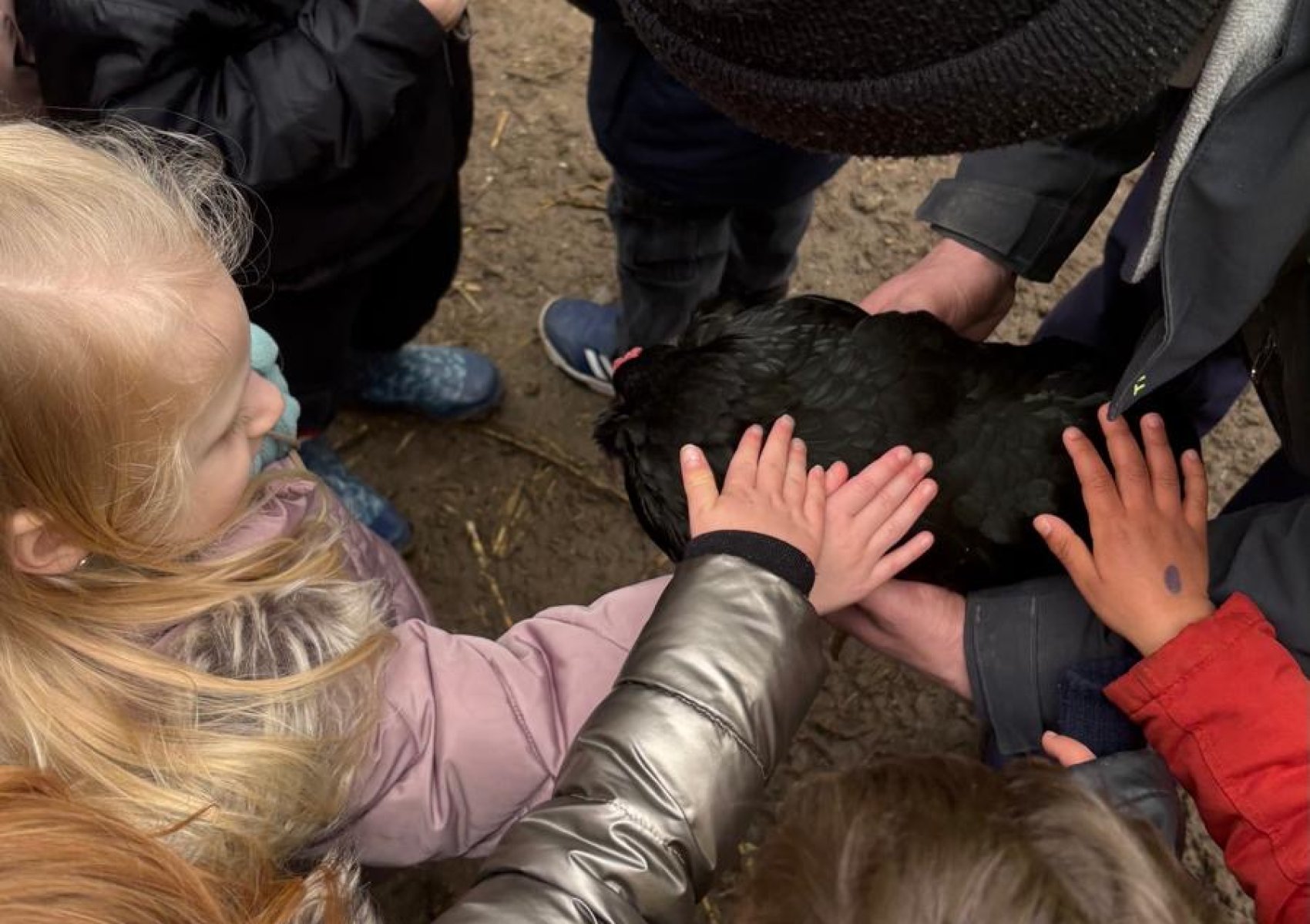 1101e0f0-e736-4ad3-9cbb-322a8de96d81