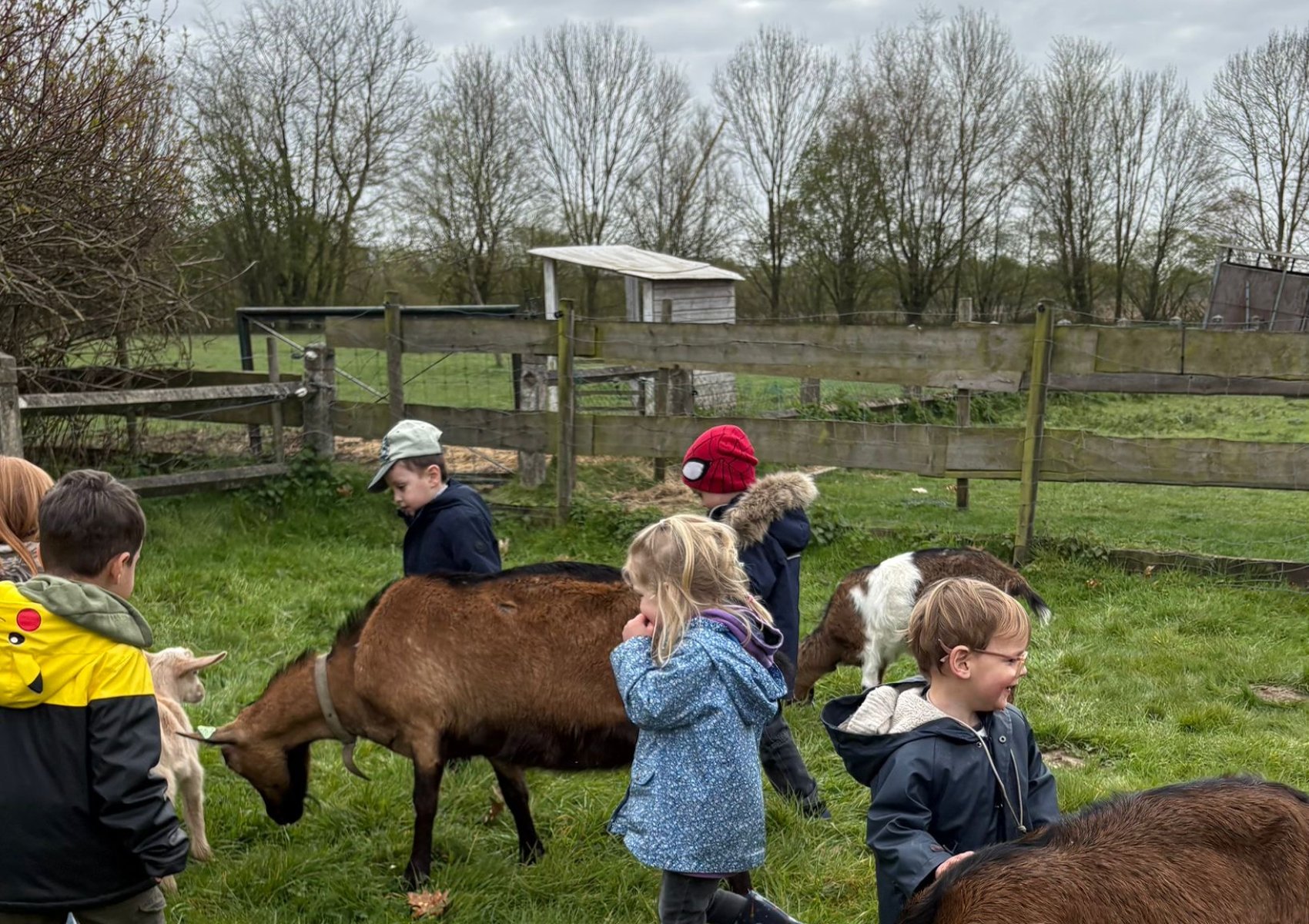 18600069-313d-43eb-adf1-12b5e36a9d26