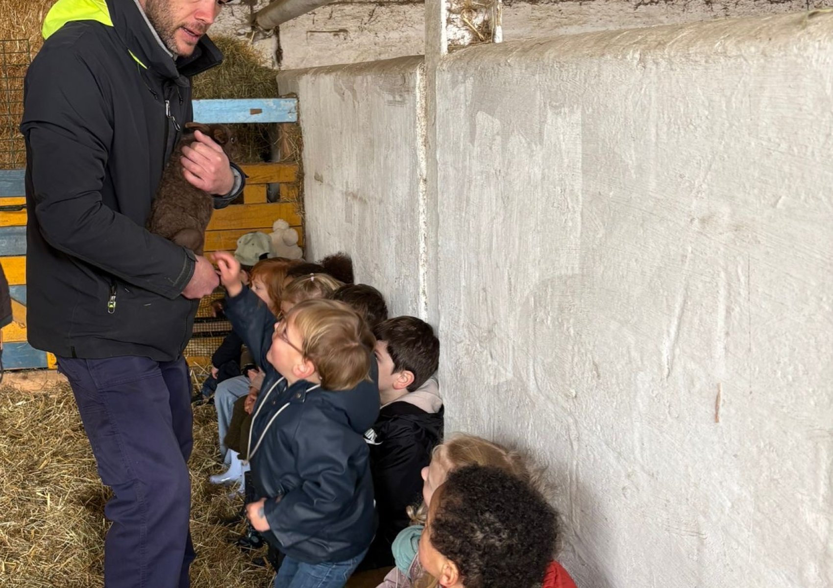 29af141b-fe88-49cd-b349-66f8bdd7f903