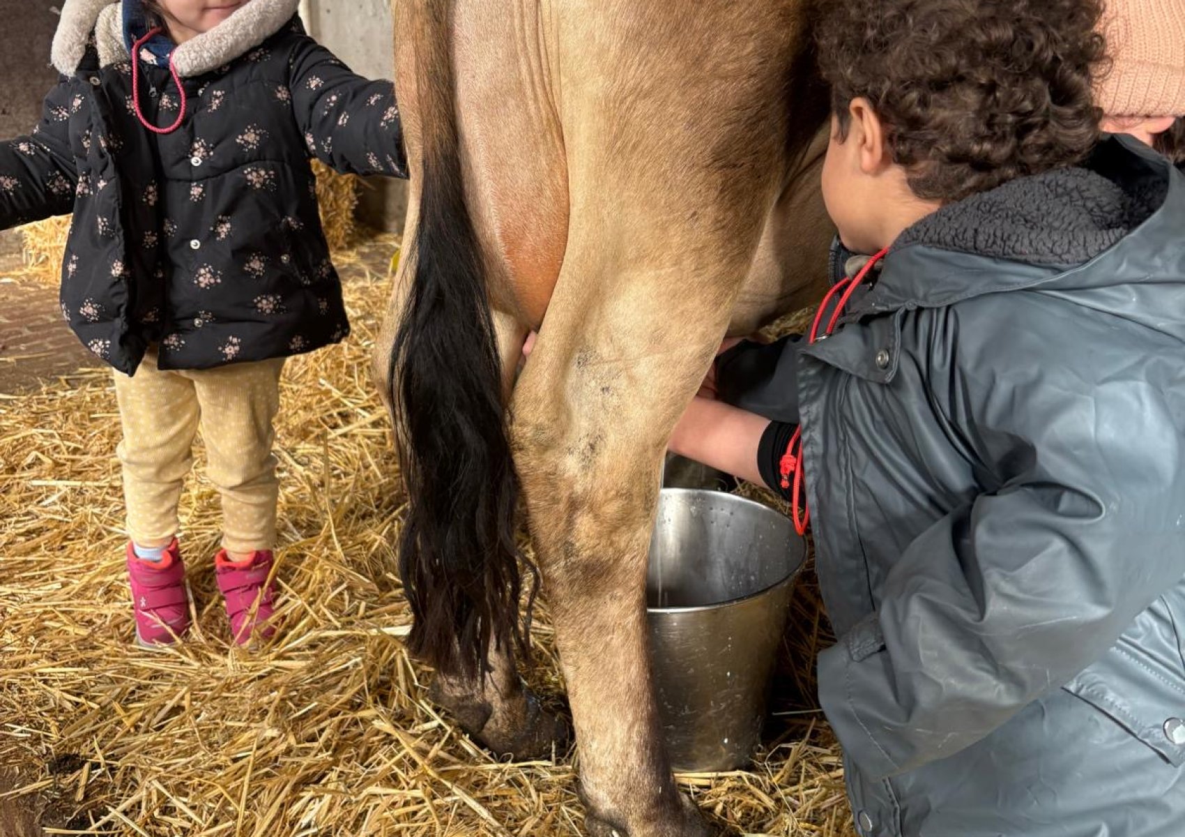 d2e68c74-2ff5-49b1-bd5f-3d696a7e00b2