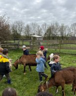 18600069-313d-43eb-adf1-12b5e36a9d26