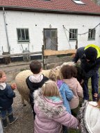 e8687245-3f46-4967-acb9-72142e451922