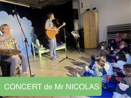 PHOTOS des girafes M1A